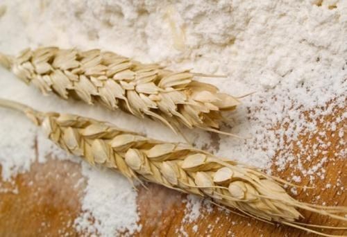Wheat Flour Testing Service