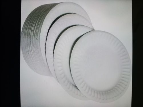 Disposable White Paper Plates