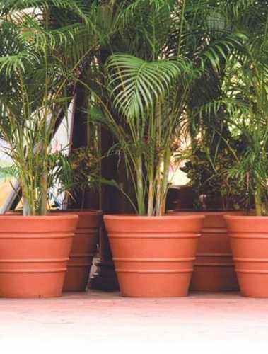 Dust Free Plastic Planter Pot