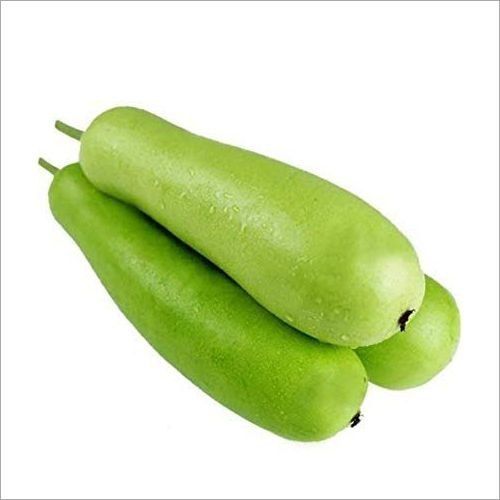 Healthy And Natural Organic Fresh Bottle Gourd