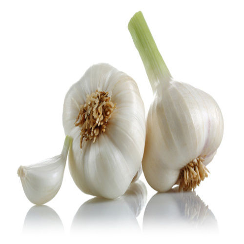 Healthy And Natural Organic White Fresh Garlic Moisture (%): 100%