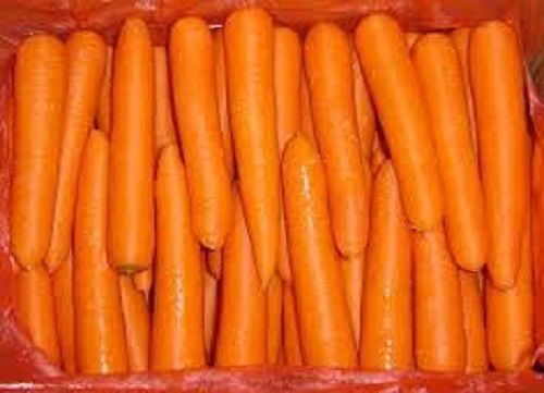 Rich Taste Fresh Carrot