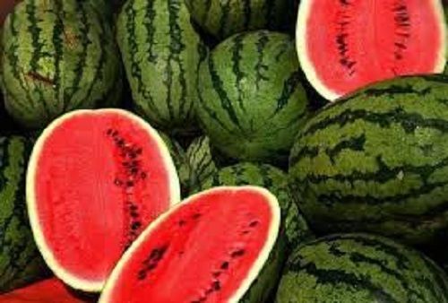 Rich Taste Fresh Water Melon