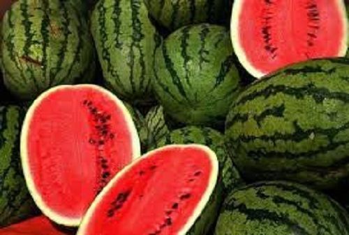 Green Rich Taste Fresh Water Melon