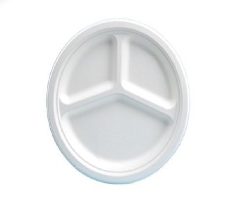 10 Inch Biodegradable White Plate