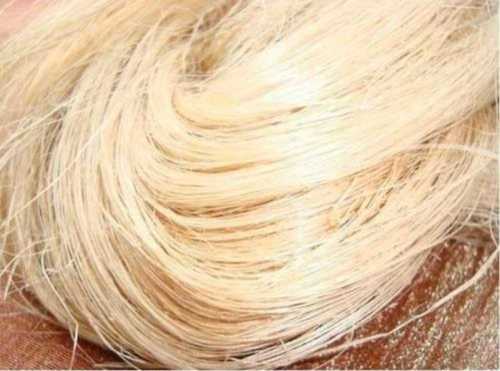 Raw Golden Banana Fiber