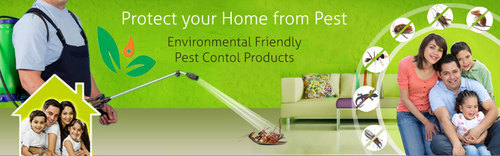 Residential Pest Control Services By Golden Pest Solutions