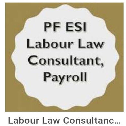Salary Processing Payroll Consultant Service