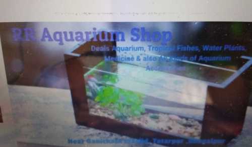 Transparent Aquarium Tank With Toughened Glass