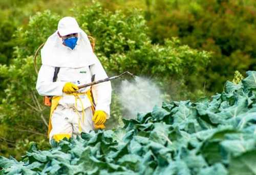Pesticide License Service Provider By RMN License Consultants