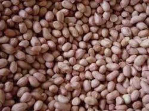 Pure Organic Peanut Seeds
