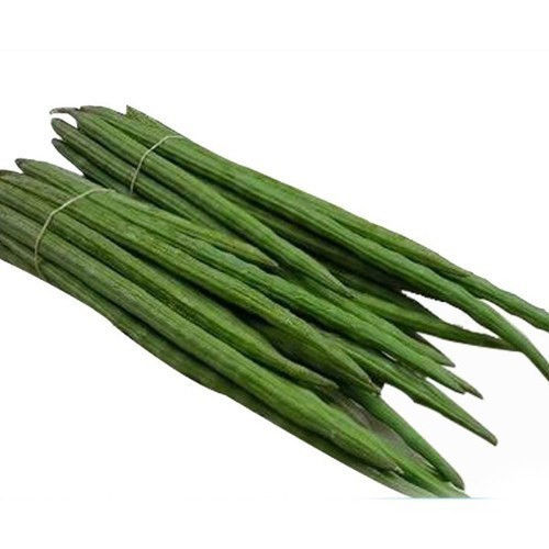 Healthy and Natural Fresh Green Drumsticks