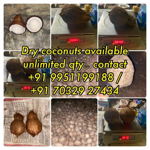 Dry Half Husked Coconut