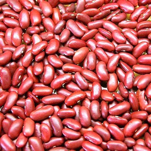 Healthy and Natural Organic Red Kidney Beans