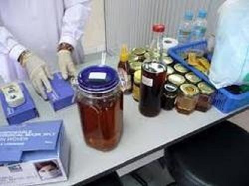 Honey Testing Service