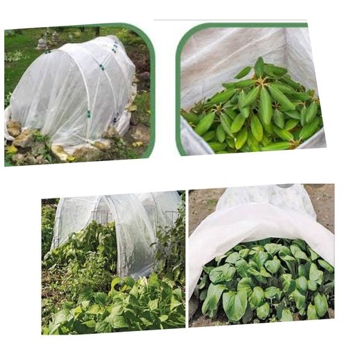 Non Woven Plant Protection Cover