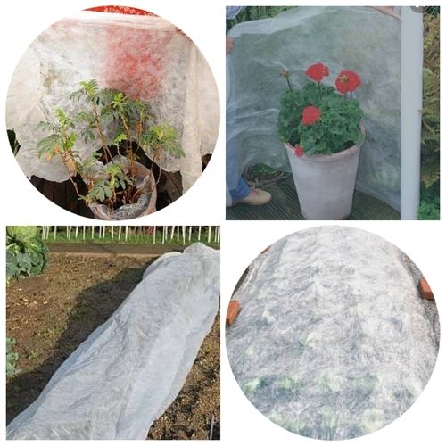 White Non Woven Protection Cover For Garden And Flowers