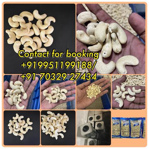 Rich Nutrition Cashew Nut
