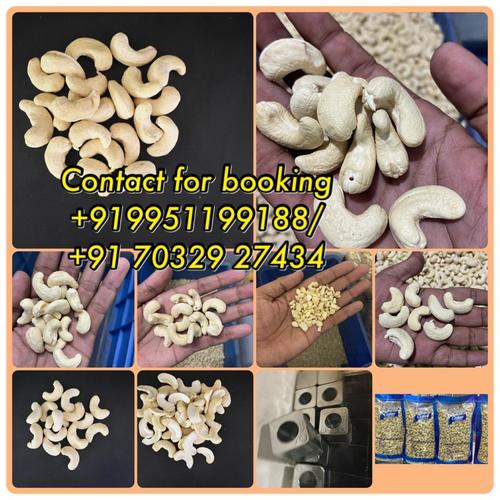 Common Rich Nutrition Cashew Nut