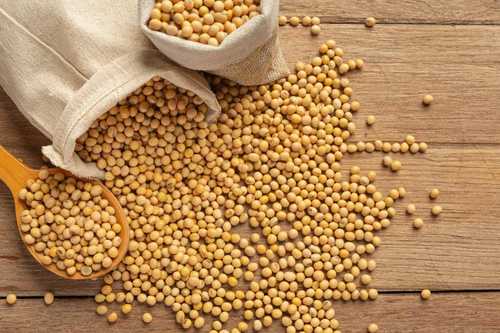 High Nutritional Fresh Soybean