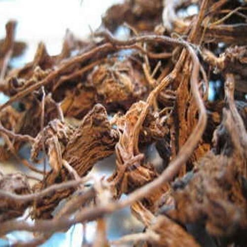 Coleus Forskohlii Dry Root Extract