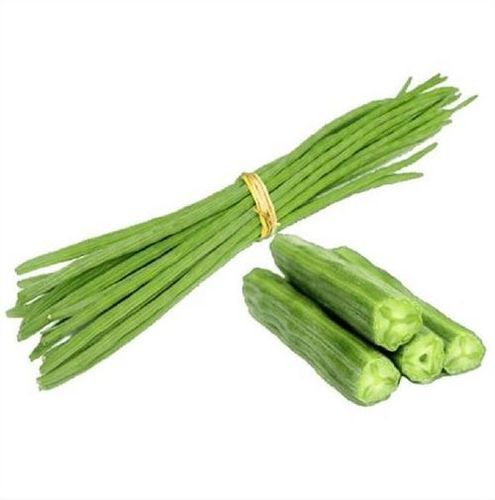 Healthy and Natural Fresh Green Drumsticks