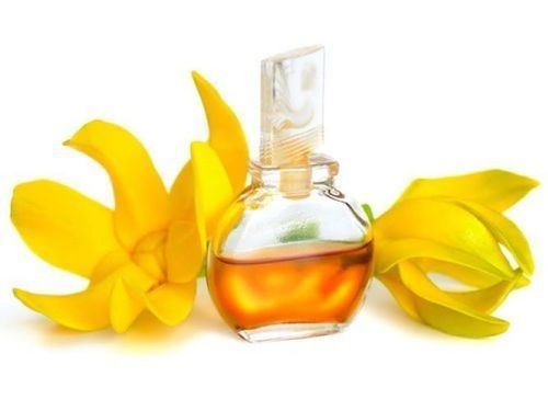 Highly Pure Ylang Oil