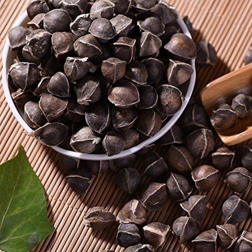 Moringa Oleifera Seed Dry Extract