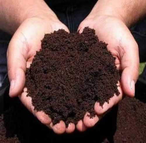 Black Organic Vermi Compost