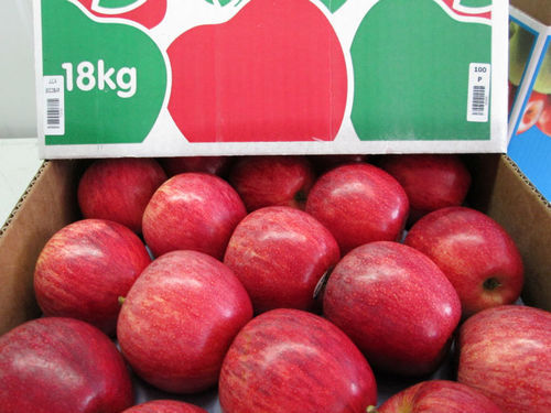 Chemical Free Fresh Apples