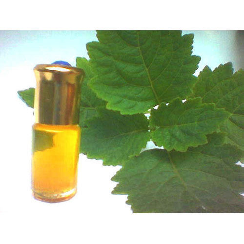 Earthy Fragrance Patchouli Oil
