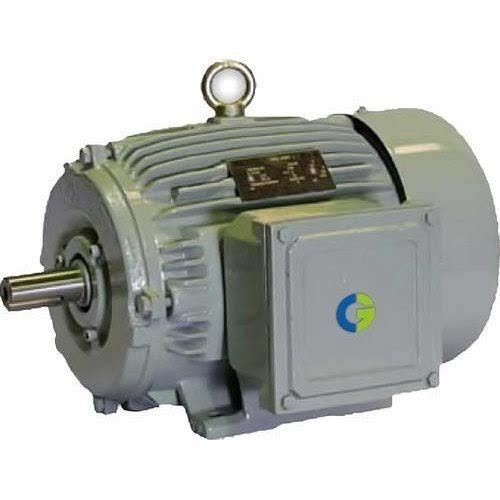 Grey Energy Efficient Crompton Motor