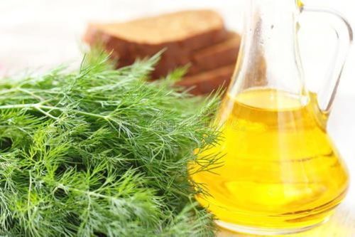 Premium Dill Seed Oil