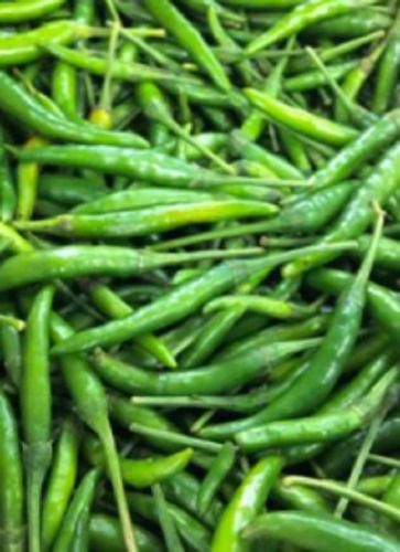 Cooked Fresh Green Chilli