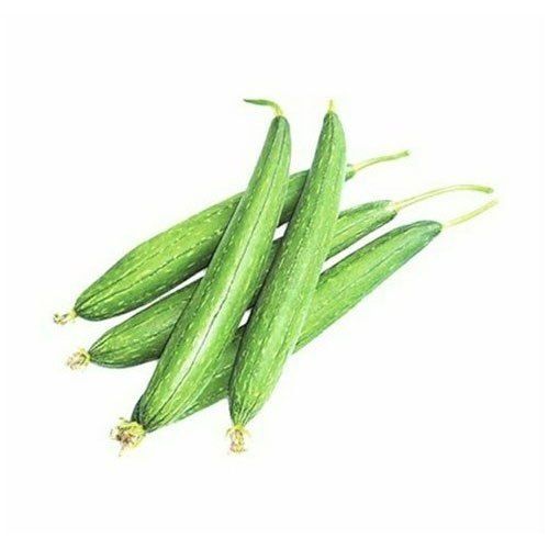 Healthy and Natural Green Fresh Sponge Gourd