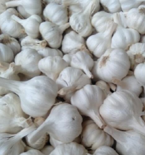 Cooked White Organic Garlic