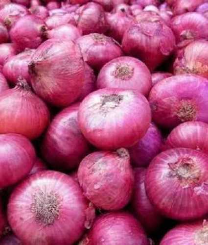 Cooking Fresh Red Onion 