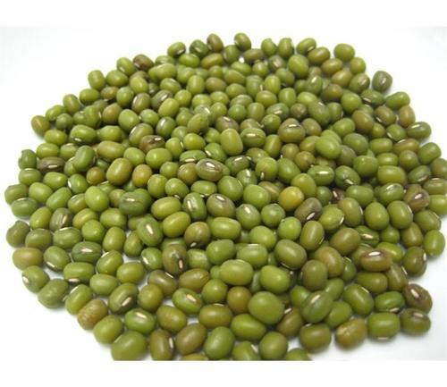 Healthy And Natural Green Mung Beans Grain Size: Standard