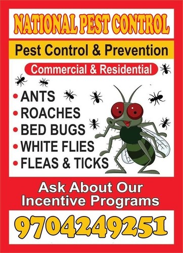 Flies Pest Control Services By NATIONAL PEST CONTROL SERVICES
