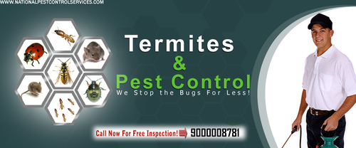 Industrial Termite Pest Control Service By NATIONAL PEST CONTROL SERVICES