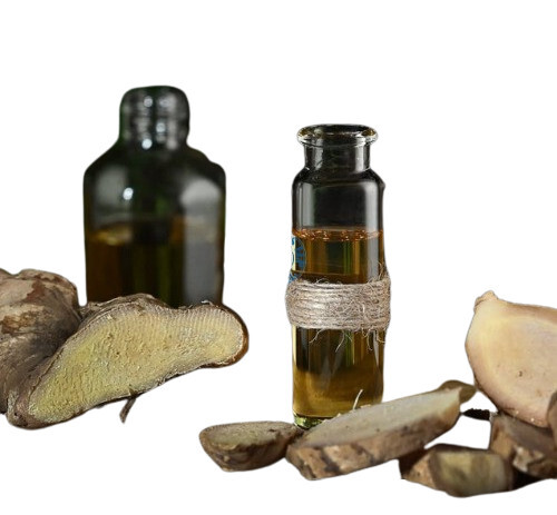 Powder Organic Premium Ginger Extract at Best Price in Kozhikode Rak