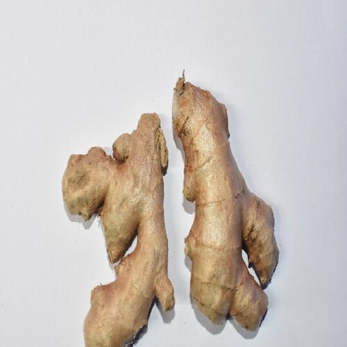 Healthy and Natural Fresh Ginger