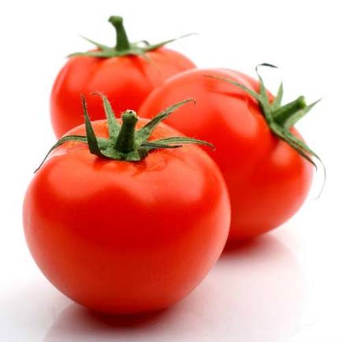 Round Healthy And Natural Fresh Organic Red Tomato