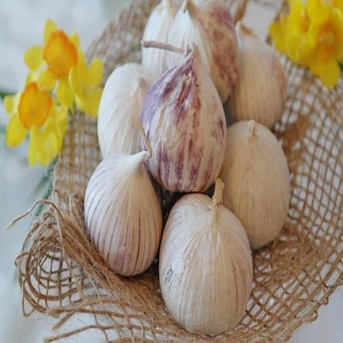 Healthy And Natural Organic Fresh Garlic Shelf Life: 12 Months