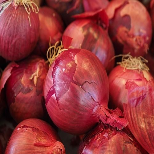 Healthy And Natural Organic Fresh Onion