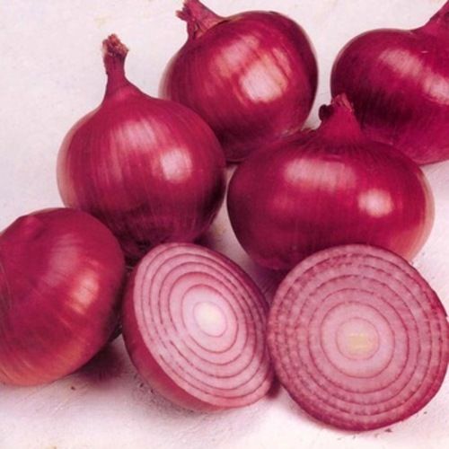 Round Healthy And Natural Organic Fresh Red Onion