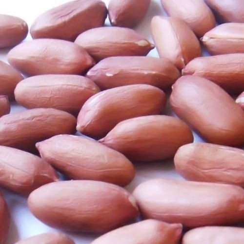 Healthy and Natural Dried Peanuts