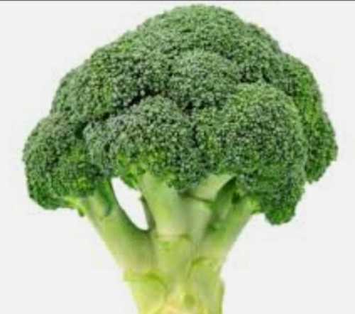 Natural Green Fresh Broccoli