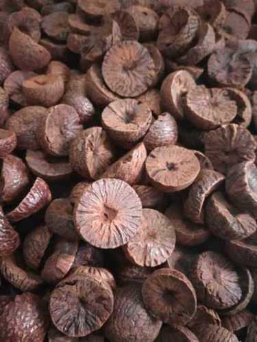 Brown Indian Origin Betel Nut