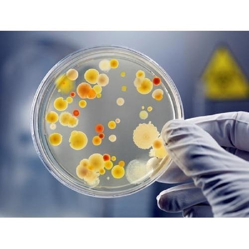 Bacteria Count Testing Services General Medicines